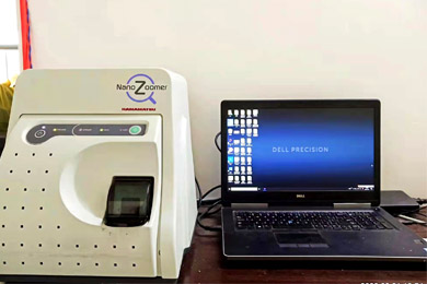 黑龙江全景数字白光扫描