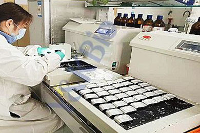 黑龙江石蜡包埋服务