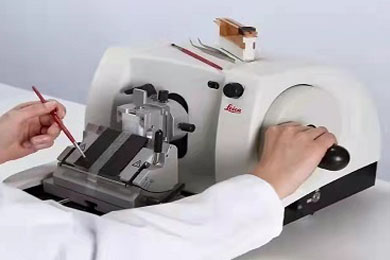 黑龙江石蜡切片