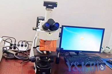 黑龙江暗场拍照