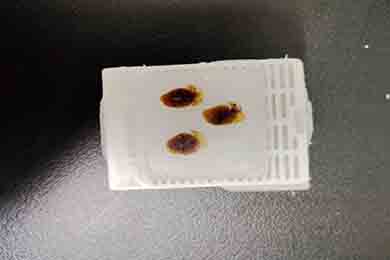 黑龙江石蜡包埋（3个组织）