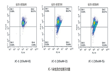 黑龙江流式-JC-1