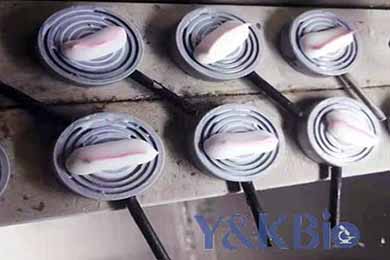 黑龙江冰冻包埋