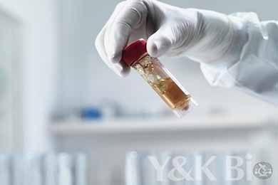 黑龙江慢病毒包装