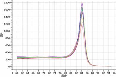 黑龙江实时荧光定量PCR（RT-PCR）