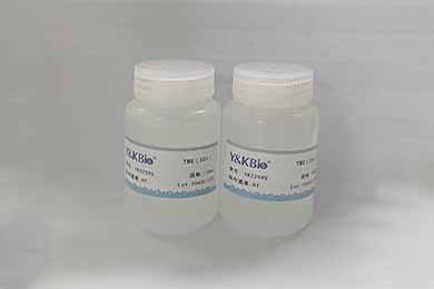 黑龙江TBE（10×）