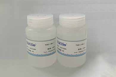 黑龙江TAE（50×）