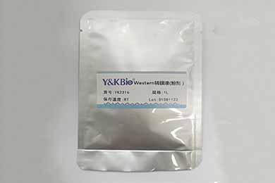 黑龙江Western转膜液干粉