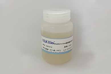黑龙江Western blot封闭液(含BSA)