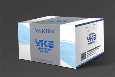 黑龙江Masson-Fontana黑色素染色试剂盒