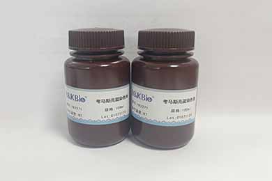 黑龙江考马斯亮蓝染色液