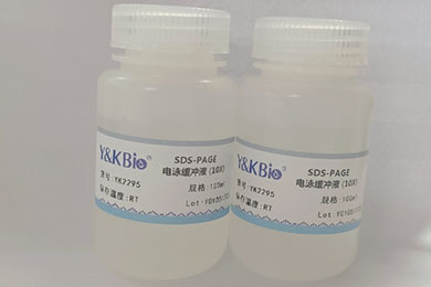 黑龙江10×SDS-PAGE电泳缓冲液