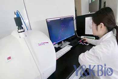 黑龙江荧光扫描